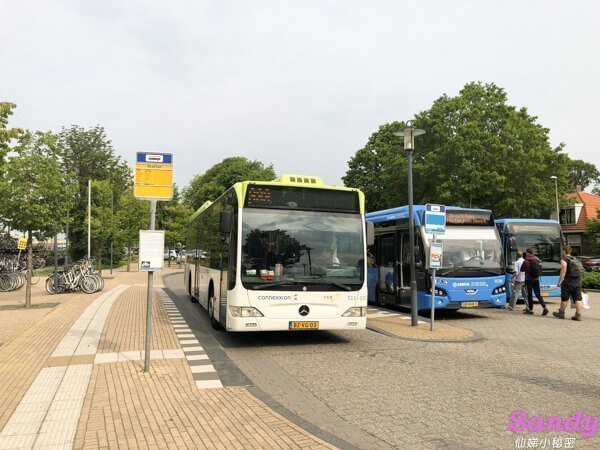 荷蘭 公車