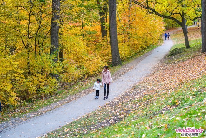 皇家山 Mont royal