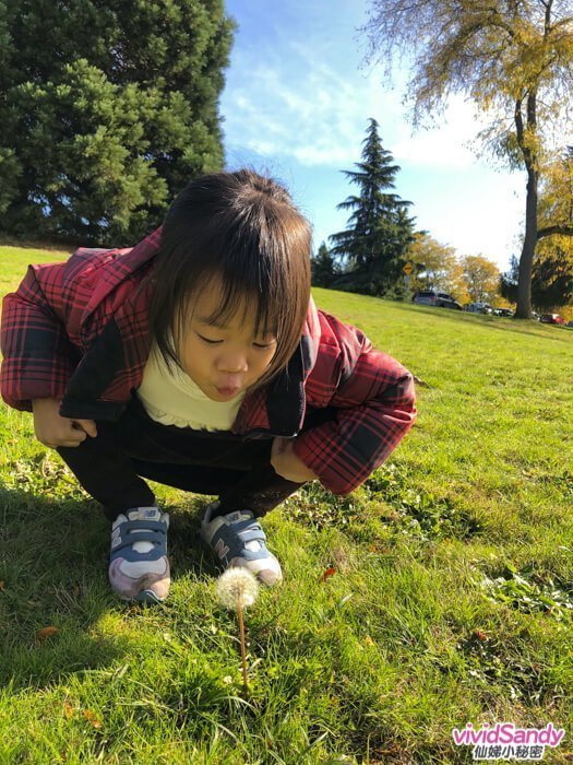 加拿大 伊莉莎白公園