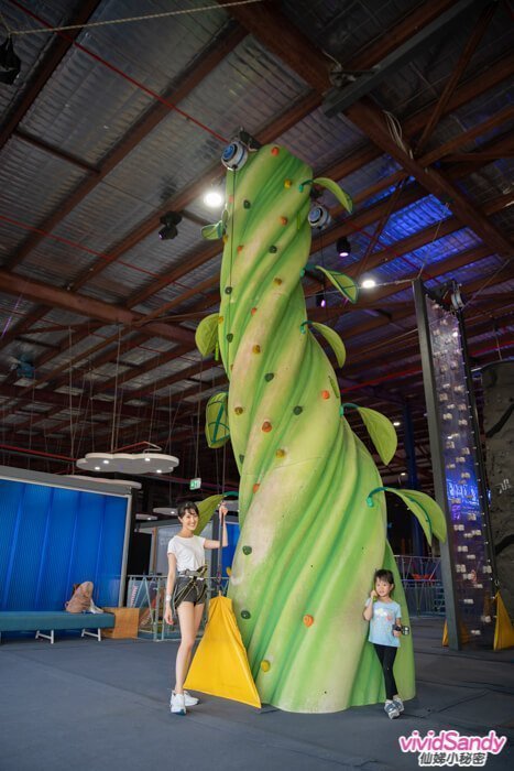 Skyzone 彈簧床 攀岩