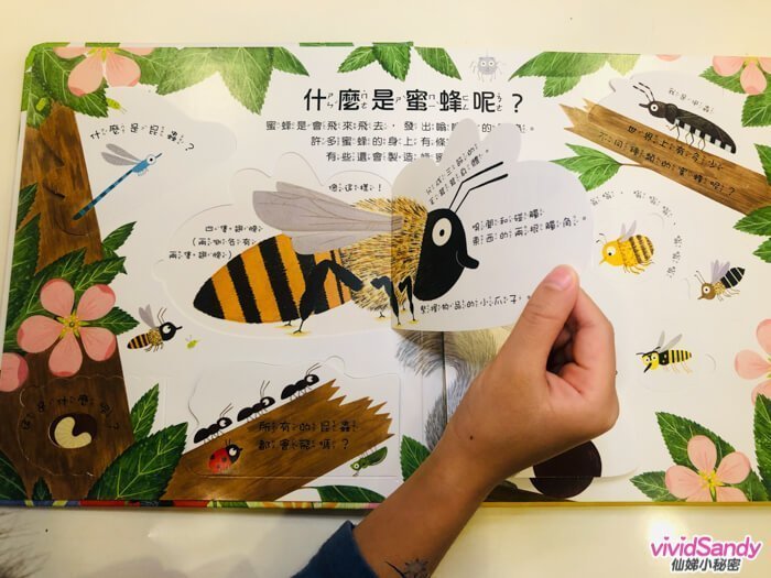 兒童 繪本 科普翻翻書 